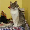 Отзыв от Мария Одинцова